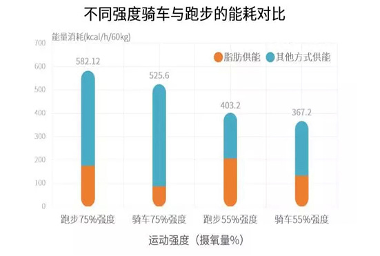 石家庄健身器材